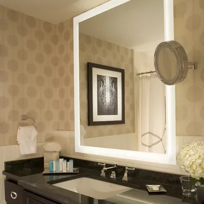 Electric Mirror Silhouette Lighted Mirror