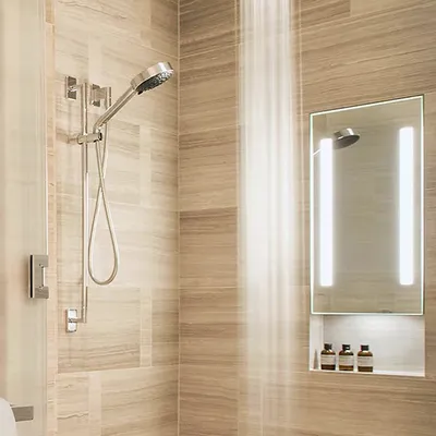 Electric Mirror Acclaim In-Shower Fog Free Mirror with Down Light