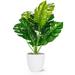 Primrue Large Monsterra Leaf Plant Polyester/Plastic | 16 H x 8 W x 8 D in | Wayfair BCDFDBB7AD7F41259F747F1D953090F6