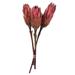 Vickerman 649756 - 8-12" Erica Pink Repens Nat Stem 180/Cs (H1REP400) Dried and Preserved Flowering Plants