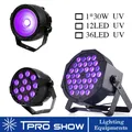 Mini lumières de scène à gradation stroboscopique LED ultraviolette budgétaire de lampe violette