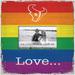 Houston Texans 10'' x Love Pride Frame