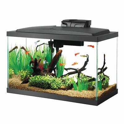 Aqueon LED 10 Gallon Aquarium Kit, 22.88" L X 12.75" W X 13.88" H