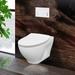 Toilet Combo Set - 20" Toilet Bowl With Soft-Close Seat, 2"x 4" Concealed Tank And Carrier System, Push Buttons Included.