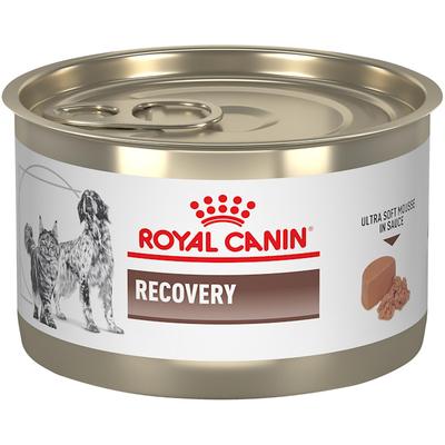 Royal Canin Veterinary Diet Feline And Canine Recovery In Ultra Soft Mousse in Sauce Cat and Dog Food, 5.1 oz.