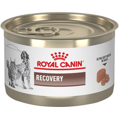 Royal Canin Veterinary Diet Feline And Canine Recovery In Ultra Soft Mousse in Sauce Cat and Dog Food, 5.1 oz.