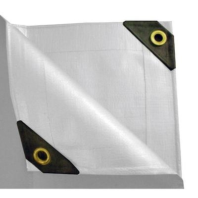 30 x 30 Heavy Duty Canopy Tarp - White - As Pictured