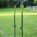 2-in-1 Metal Swirl with Green Glass Outdoor Lawn Torch - Set of 2