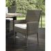 Bayou Breeze Outdoor Delaplaine Arm Dining Chair Plastic/Resin in Gray | 36.6 H x 19.69 W x 20.5 D in | Wayfair 146E85B4C1FF4B738DA10DB1F93D0152