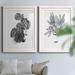 Bay Isle Home™ B & W Indoor Plant III - 2 Piece Painting Print Set Paper, Solid Wood in White | 31.5 H x 47 W in | Wayfair