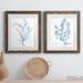 Gracie Oaks Antique Botanical in Blue VII - 2 Piece Picture Frame Painting Print Set on Paper in White | 24 H x 36 W x 1.5 D in | Wayfair