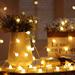 The Party Aisle™ 33" Indoor LED 100 - Bulb Globe String Light, Fairy String Lights, Copper in White | 33 W in | Wayfair