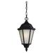 Alcott Hill® Anita 1 -Bulb 14.4" H Outdoor Hanging Lantern Glass/Aluminium/Metal in White/Black | 14.4 H x 7.875 W x 7.875 D in | Wayfair