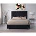 Everly Quinn Hungerford Tufted Low Profile Platform Bed Upholstered/Velvet in Black | 56 H x 86 W in | Wayfair 05737E869F7042AE9CB8670FC45164B4