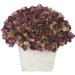 Ophelia & Co. Hydrangea Floral Arrangements Planter Faux Silk in Black/Indigo | 9 H x 10 W x 10 D in | Wayfair LRKM1388 37986169