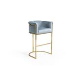 Silver Orchid Rowland Velvet Upholstered Bar/Counter Stool