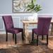 Nyomi Fabric Dining Chair (Set of 2) by Christopher Knight Home - N/A