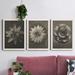 August Grove® Blossfeldt Flower I - 3 Piece Picture Frame Photograph Print Set on Canvas in Black/Blue/Green | 100 H x 31.5 W in | Wayfair