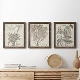 Red Barrel Studio® Sepia Exotic Plants IV - 3 Piece Picture Frame Painting Set on Canvas in White | 24 H x 36 W x 1.5 D in | Wayfair