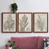 Red Barrel Studio® Sepia Exotic Plants I - 3 Piece Picture Frame Painting Set on Canvas in Black/Blue/Green | 31.5 H x 70.5 W in | Wayfair