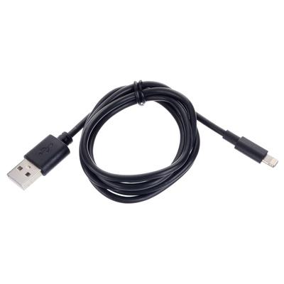 Ansmann Lightning/ USB-A 100