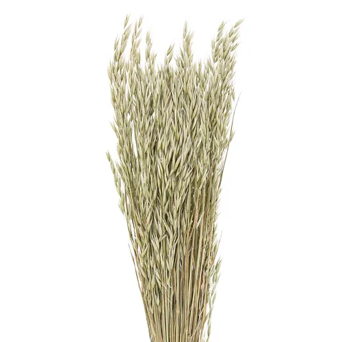Bouquet d'avoine, vert, 150 g