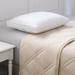 Chamomile Scented Cotton Pillow - Allenbach by Porch & Den - White