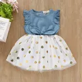 Robe Tutu en Denim à Volants pour Petite Fille de 1 à 6 Ans Tenue de Princesse à Pois Vêtement