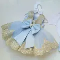 Robe de princesse en dentelle à sequins pour fille robe bouffante en maille fleur fête