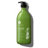 Luseta Macadamia & Argan Oil Rejuvenating & Moisturizing Shampoo for Normal & Dry Hair - Sulfate Free Paraben Free Color Safe