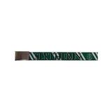 Harry Potter Fantasy Movie Series Slytherin House Web Belt