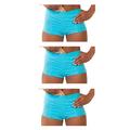 (L) Blue Stashitware Women's Deep Secret Pocket Underwear Boy Brief 3 Pack Blue