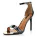 DailyShoes Ankle Strap Stiletto Heels High Heel Sandals Buckle Open Toe Sandal Stylish Silhouette for Women Vertical-01 Black Pt 6