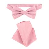 Vesuvio Napoli BowTie Pink Paisley Color Mens Bow Tie & Handkerchief