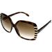 Roberto Cavalli Sunglasses Women Havana Cimbidium RC658S5 52F Square Size: Lens/ Bridge/ Temple: 59-14-130