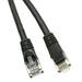 C&E Cat6a 1-Foot 500 MHz Snagless/Molded Boot Ethernet Patch Cable 5-Pack Black (CNE58549)