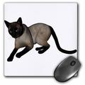 3dRose Laying Siamese Cat Mouse Pad 8 by 8 inches