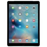 Apple iPad Pro 9.7 (Wi-Fi/Cellular)/Unlocked/Space Gray Scratch And Dent Used