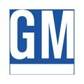 General Motors : Genuine OEM Factory Original GM Extension Frt Bpr Fascia B - Part # 88975665