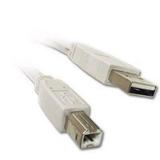 Importer520 New 15ft USB A/B PRINTER / SCANNER CABLE UNIVERSAL FOR ALL printers with a b port. Beige