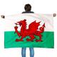 Wales Wearable Flag Cape - Pack Of 12 - Welsh Fancy Dress - Football, Rugby - Sporting Events, St Davids Day Street Parties, Festivals and Celebrations