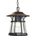 Progress Lighting - One Light Hanging Lantern - Outdoor - Derby - 12.375 Inch