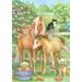 Toland Home Garden Pasture Pals Horse Spring Garden Flag Double Sided 12x18 Inch