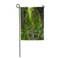 LADDKE Green Forest Tropical Jungle River Amazon Tree Fantasy Nature Landscape Garden Flag Decorative Flag House Banner 28x40 inch