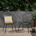 Bernice Modern Outdoor Iron Club Chair (Set of 2)