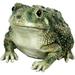 Michael Carr Designs Critters Reptile Texas Toad Outdoor Lawn Figurine