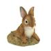 Zingz & Thingz Curious Bunny Outdoor Garden Statue - 6.25 - Brown and White