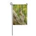 KDAGR Single Grey Squirrel Sciurus Carolinensis Foraging in Natural Woodland Garden Flag Decorative Flag House Banner 28x40 inch