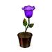 Evergreen 12.5 H Secret Solar Acrylic Flower Statuary Purple 12.8 x 0.6 x 0.6 inches