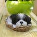 Hi-Line Gift Ltd Pet Pals-Wicker Basket-Shih Tzu Black/White